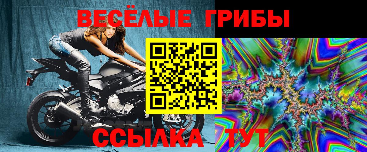 Лыткарино  Псилоцибиновые грибы Psilocybine cubensis  Вход с VPN 