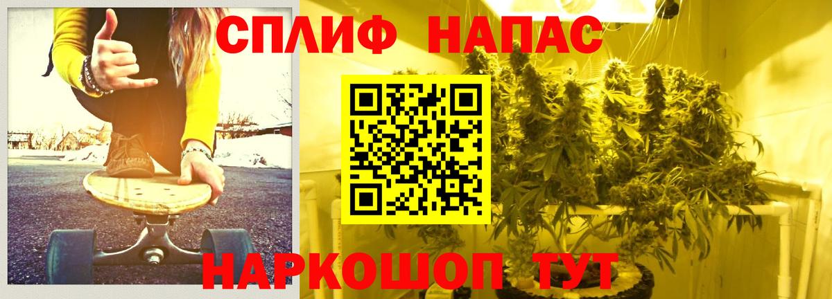 Бошки марихуана семена  Канабис MAZAR  Конопля индика  Лыткарино  Вход с VPN 